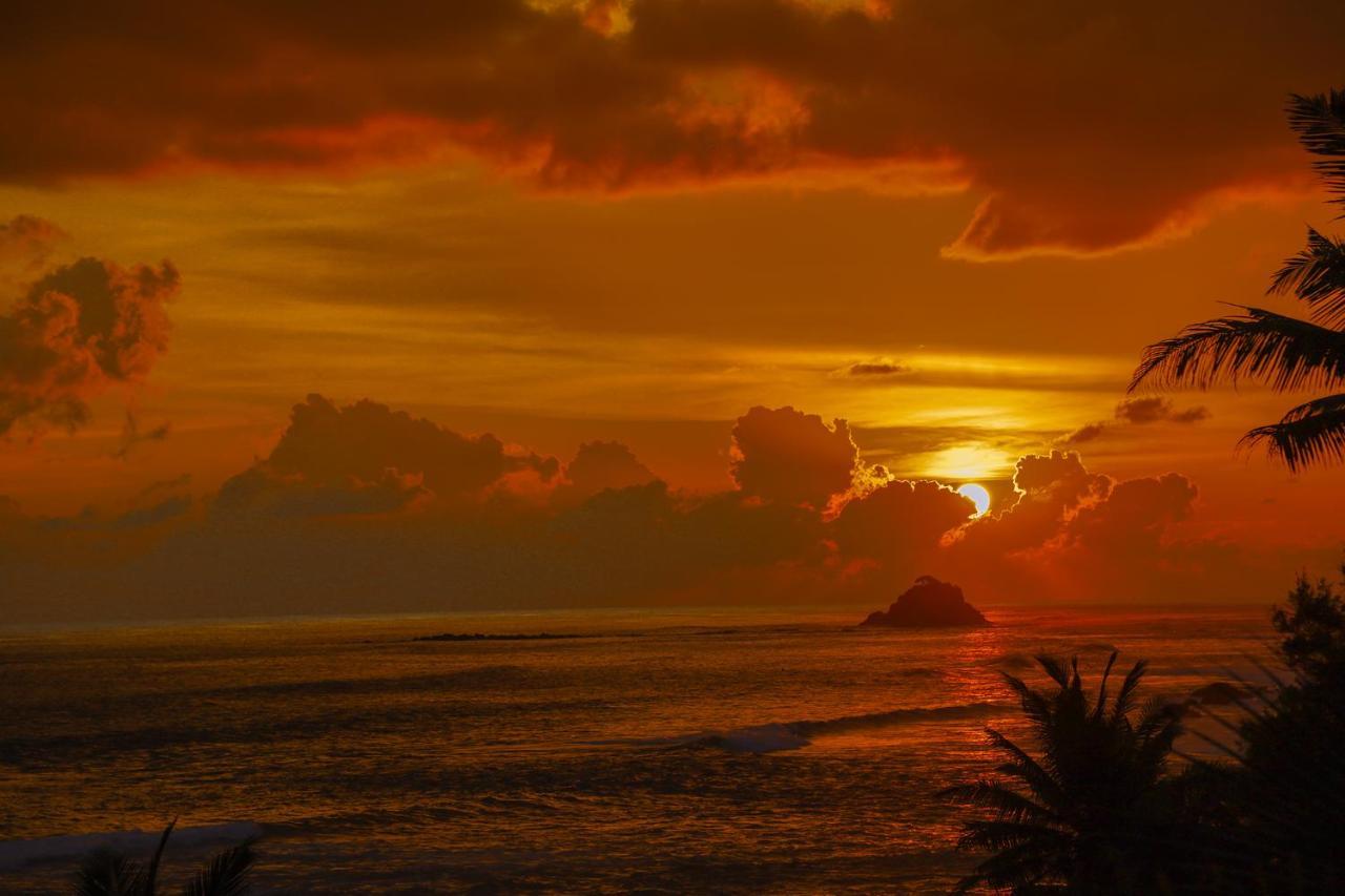 Cozy Cocos Hotel Weligama Bagian luar foto